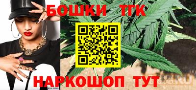гидра Новодвинск