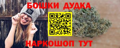 гидра Новодвинск