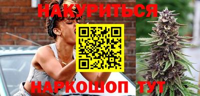 гидра Новодвинск