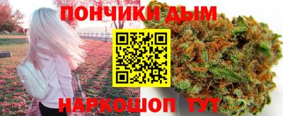 гидра Новодвинск