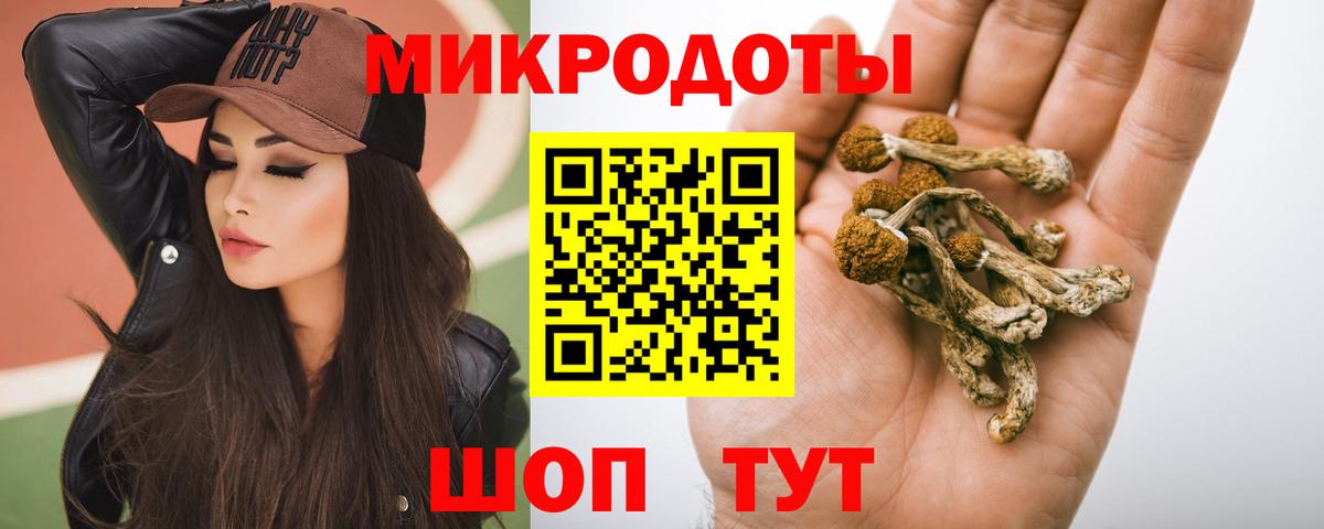 Галлюциногенные грибы Psilocybine cubensis Октябрьский